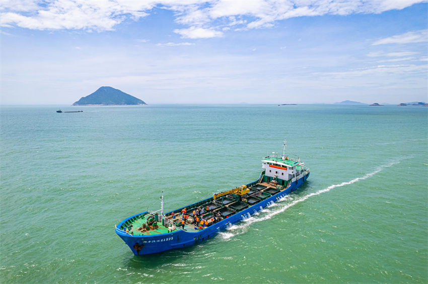 Mais de 13 milhões de peixes foram soltos no Mar da China Oriental