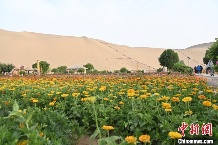 Excursões tornam-se populares no deserto de Dunhuang, noroeste da China