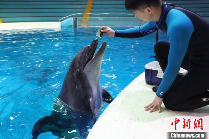 Animais marinhos experimentam verão criativo no Mundo Subaquático de Nanjing