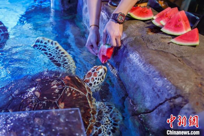 Animais marinhos experimentam verão criativo no Mundo Subaquático de Nanjing