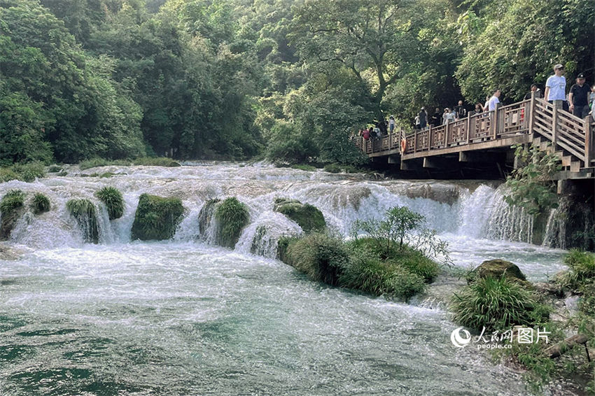 China celebra primeiro Dia Nacional da Ecologia