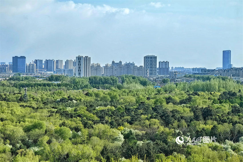 China celebra primeiro Dia Nacional da Ecologia