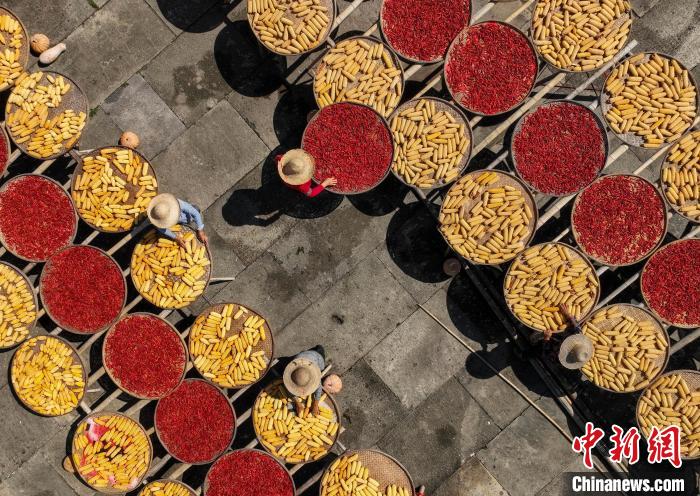 Agricultores secam culturas em Anhui