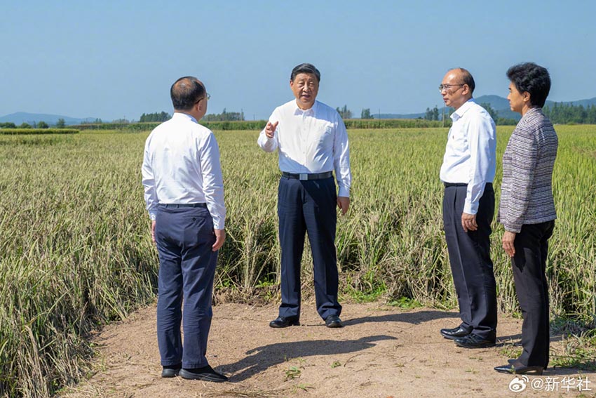 Governo chinês apoia totalmente pessoas em momentos de dificuldade, diz Xi Jinping