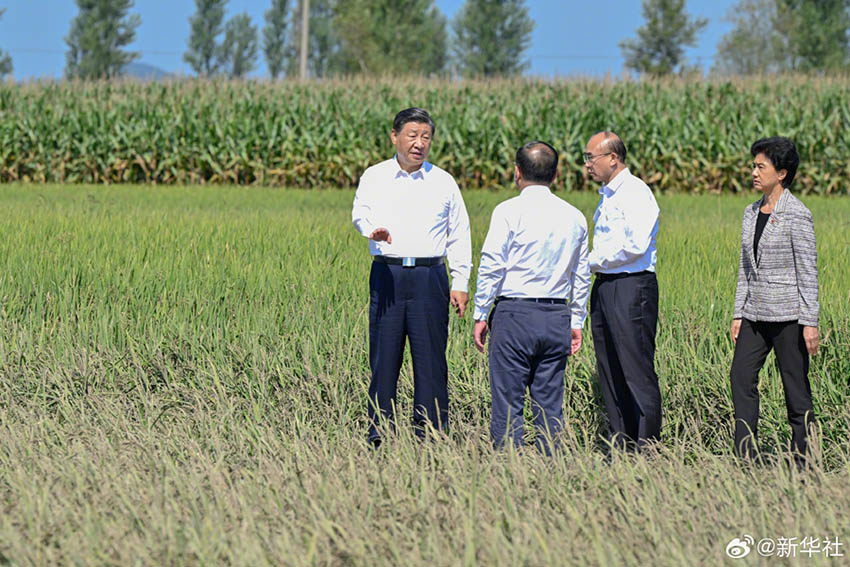 Governo chinês apoia totalmente pessoas em momentos de dificuldade, diz Xi Jinping