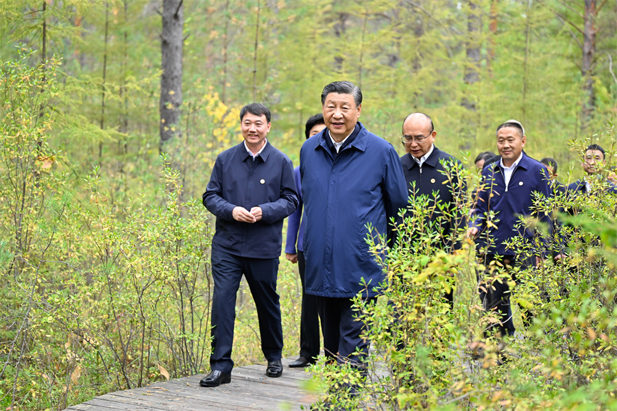 Xi Jinping enfatiza abertura de novas áreas para desenvolvimento de alta qualidade em Heilongjiang