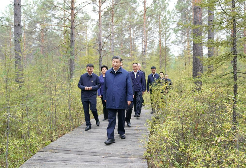 Xi Jinping enfatiza abertura de novas áreas para desenvolvimento de alta qualidade em Heilongjiang