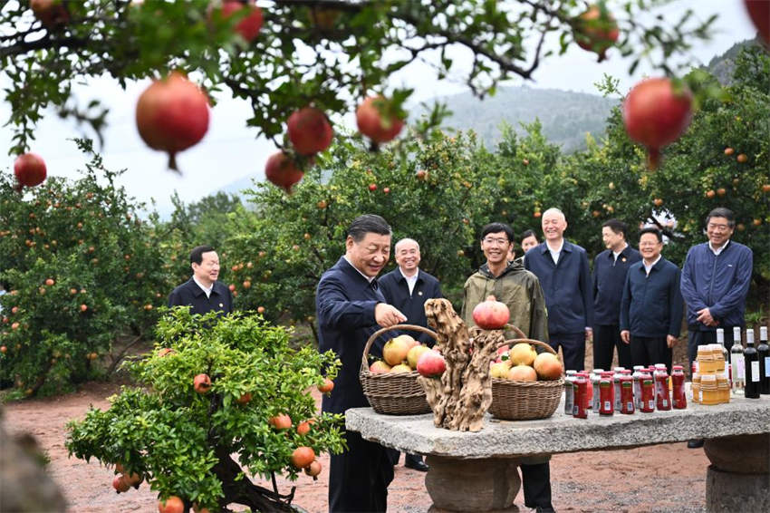 Xi Jinping pede que Zhejiang escreva um novo capítulo no avanço da modernização chinesa