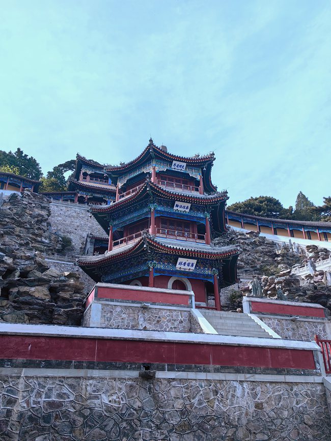 Galeria: florescimento de crisântemos atrai visitantes ao parque Xiangshan