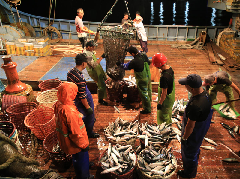 Zhejiang inicia boa colheita de peixes no outono, leste da China