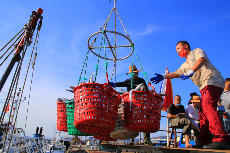 Zhejiang inicia boa colheita de peixes no outono, leste da China