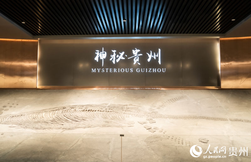 Mídia de países da Eurásia visita Museu Geológico de Guizhou