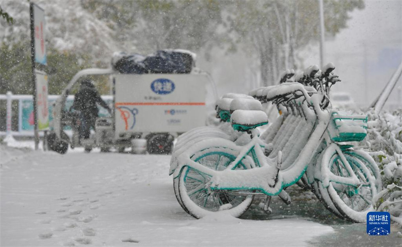 Nordeste da China emite alerta máximo para tempestades de neve