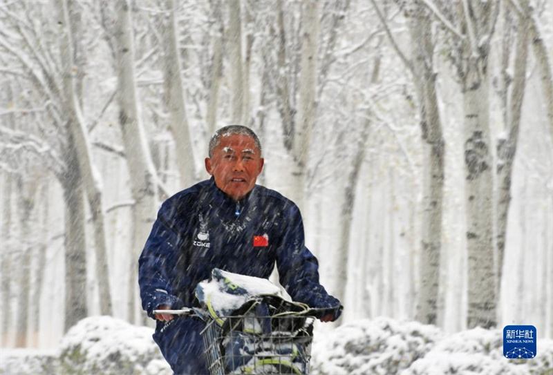 Nordeste da China emite alerta máximo para tempestades de neve