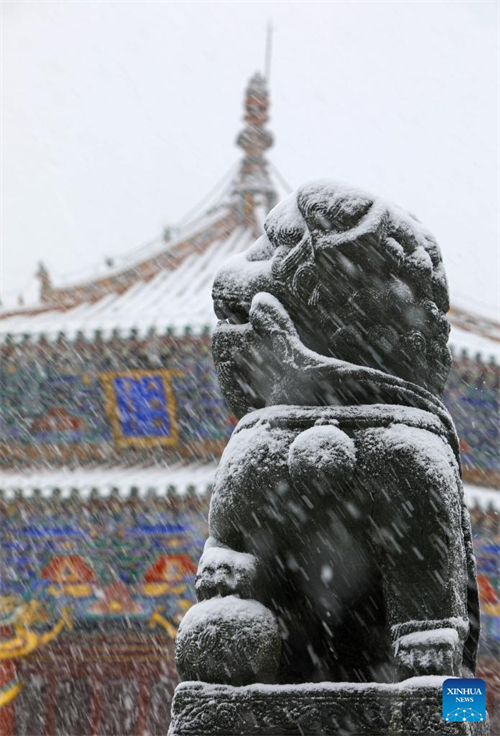 Galeria: Museu do Palácio em Shenyang fica coberto de neve