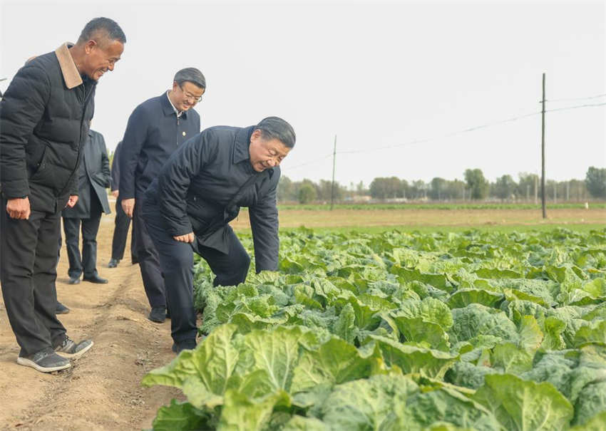 Xi Jinping inspeciona reconstrução pós-inundação em Beijing e Hebei