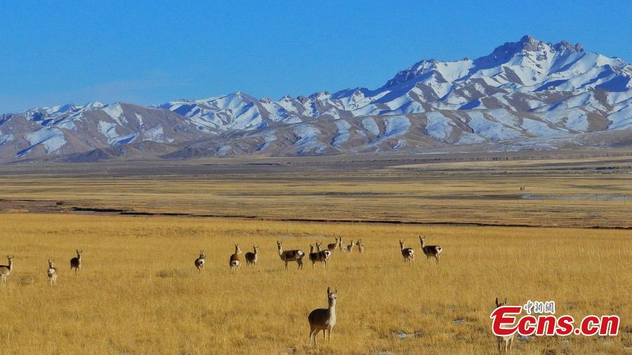 Galeria: paisagem da bacia Qaidam no inverno