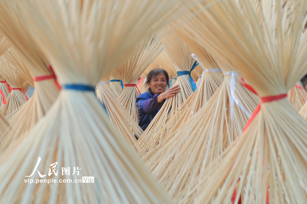 Jiangxi: indústria de processamento de bambu contribui para revitalização rural