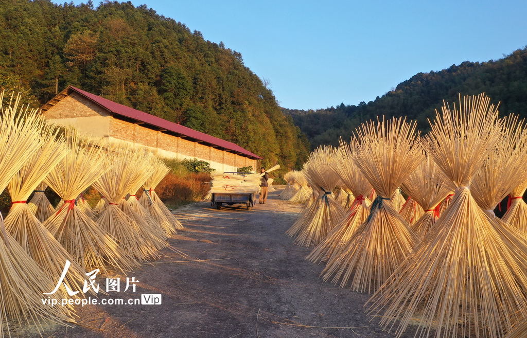 Jiangxi: indústria de processamento de bambu contribui para revitalização rural