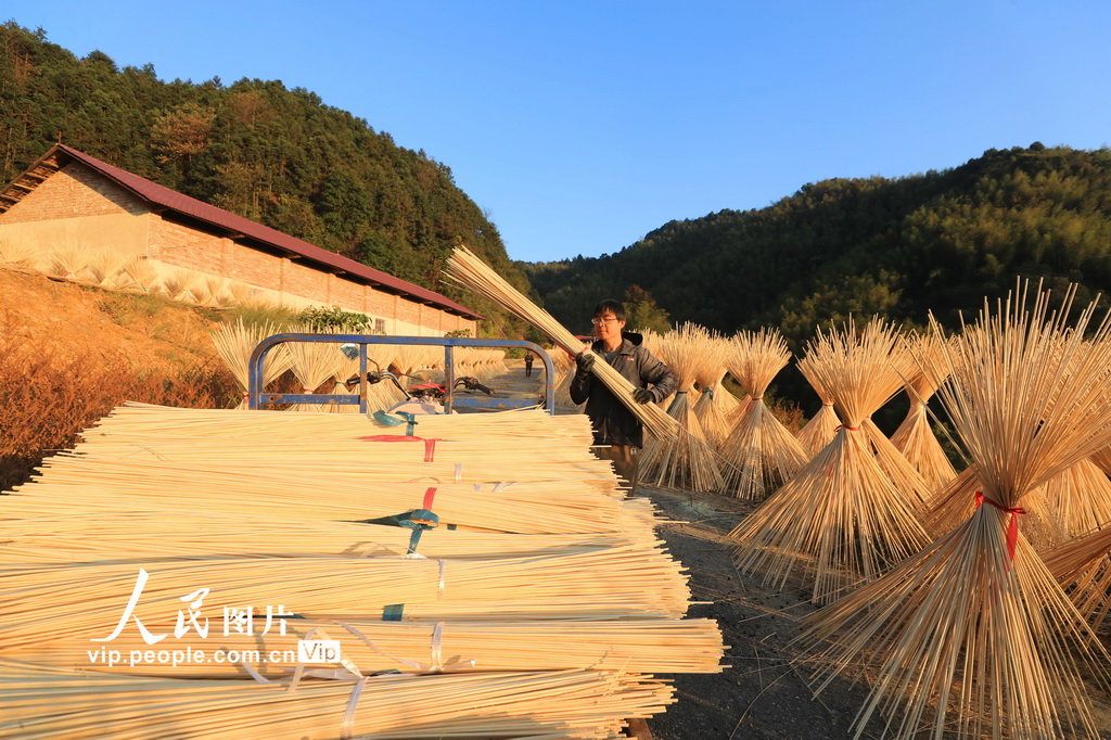 Jiangxi: indústria de processamento de bambu contribui para revitalização rural