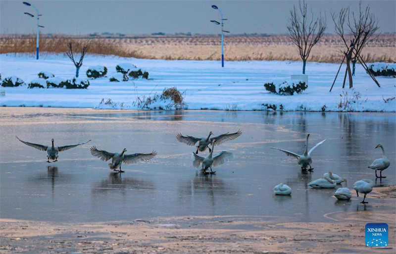 Galeria: cenário de neve na China