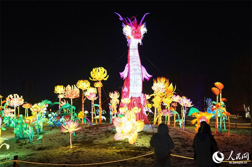 Galeria: Hohhot é decorada com lindas luzes