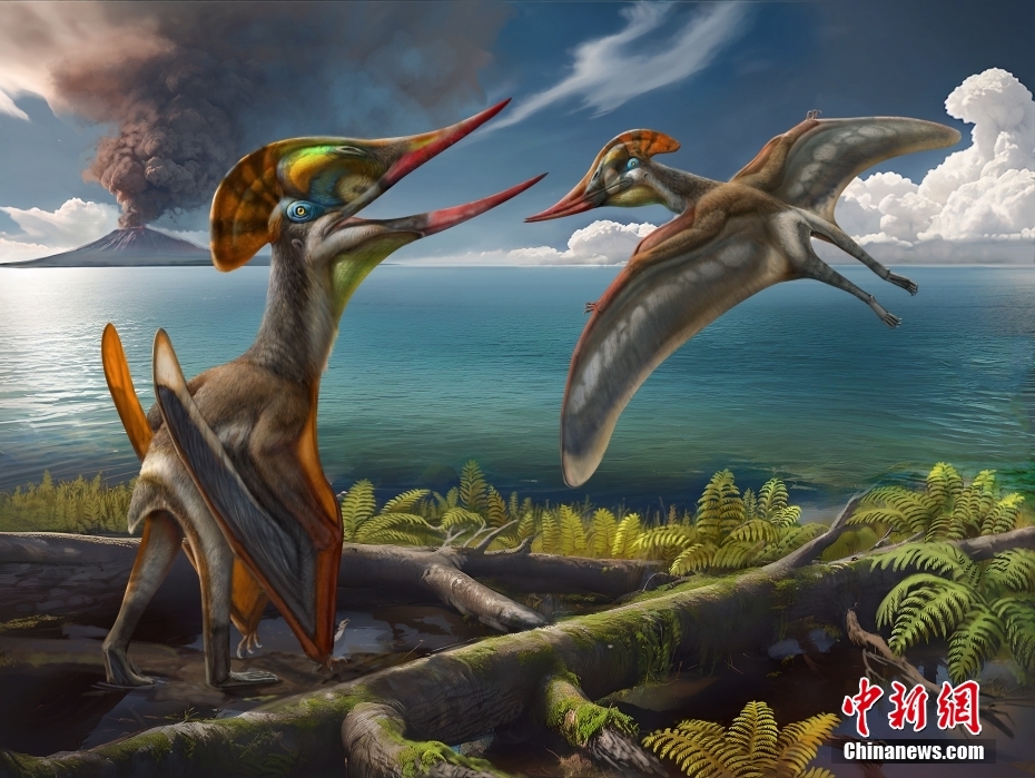 Paleontólogos chineses e brasileiros descobrem espécie mais completa de pterossauro