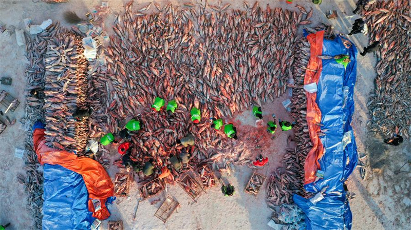 Galeria: pesca de inverno em lago de Jilin, nordeste da China