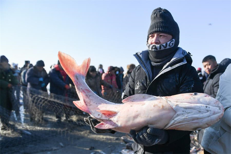 Galeria: pesca de inverno em lago de Jilin, nordeste da China