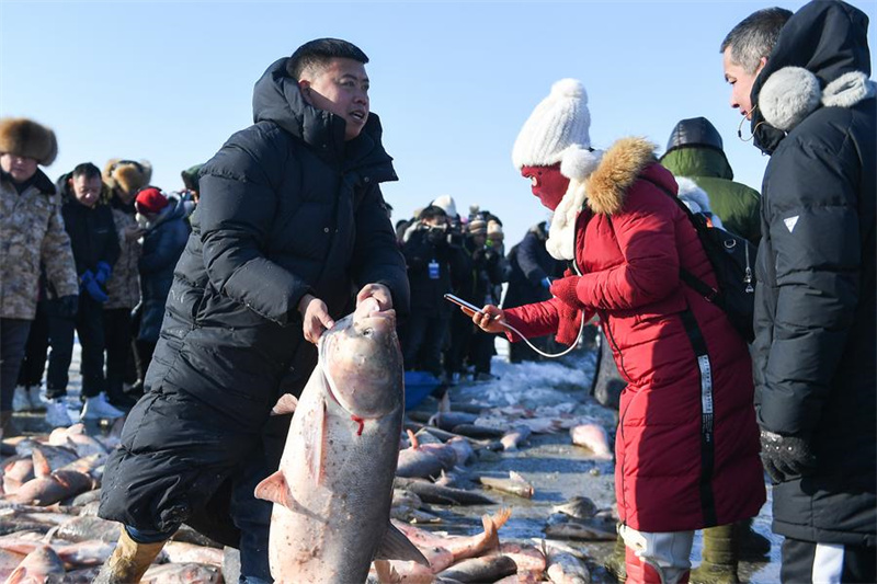 Galeria: pesca de inverno em lago de Jilin, nordeste da China