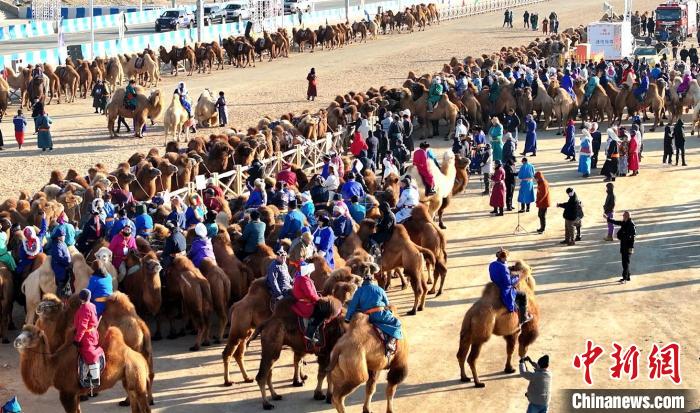 Feira de Camelo de Naadam tem início na Mongólia Interior da China