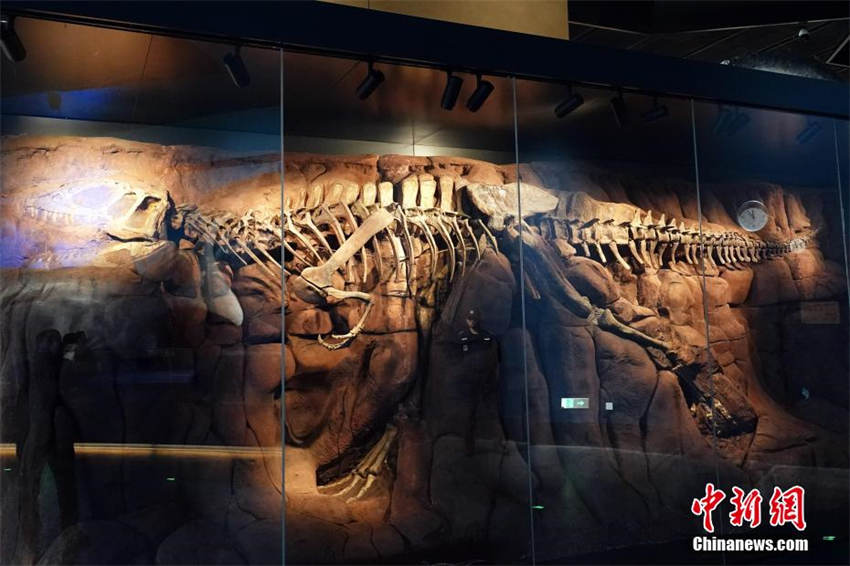 Maior museu natural da Ásia é aberto no norte da China