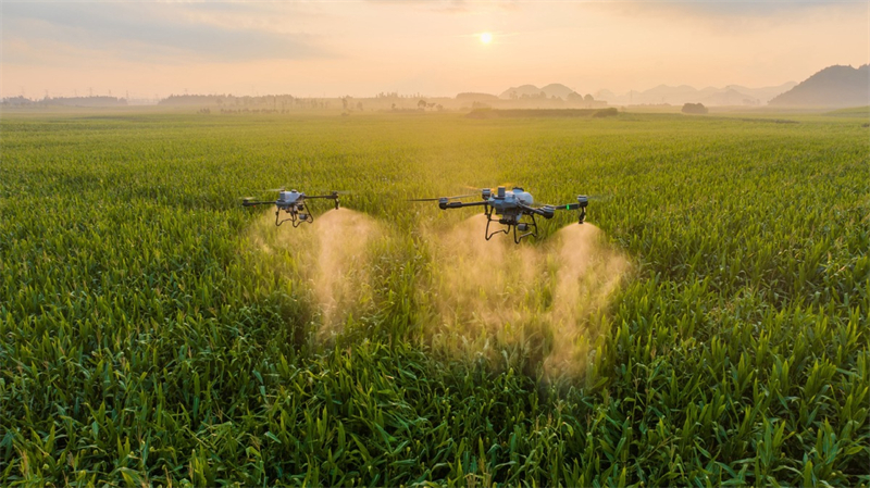 Shenzhen revitaliza cidade por meio de drones