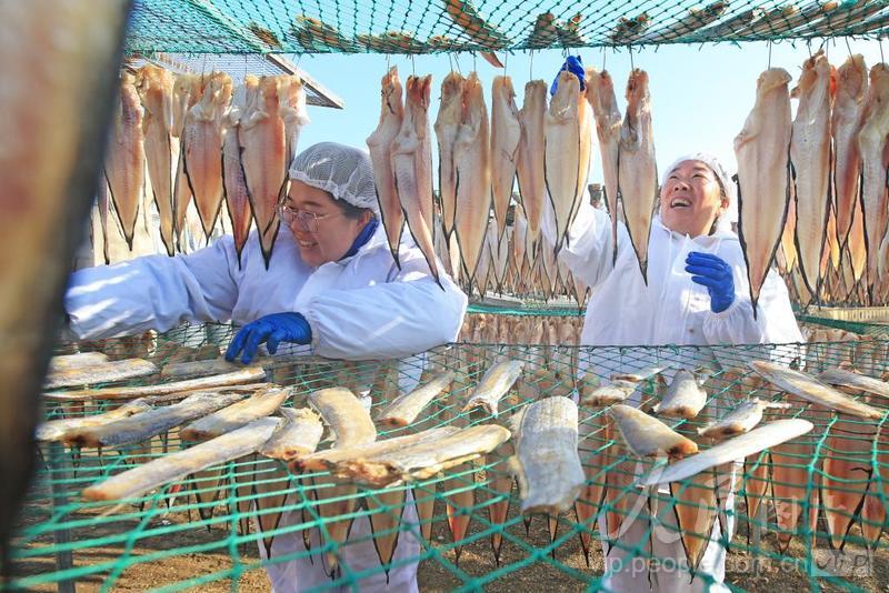 Shandong inicia temporada de secagem de peixes