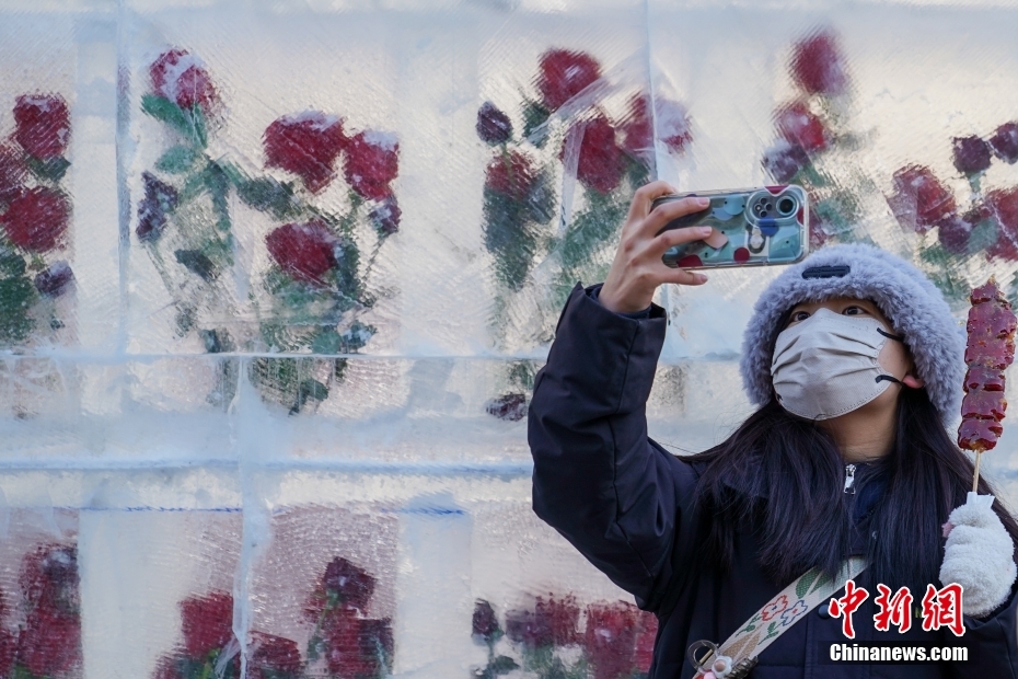 Galeria: parede de rosas esculpidas no gelo atrai curiosos em Harbin