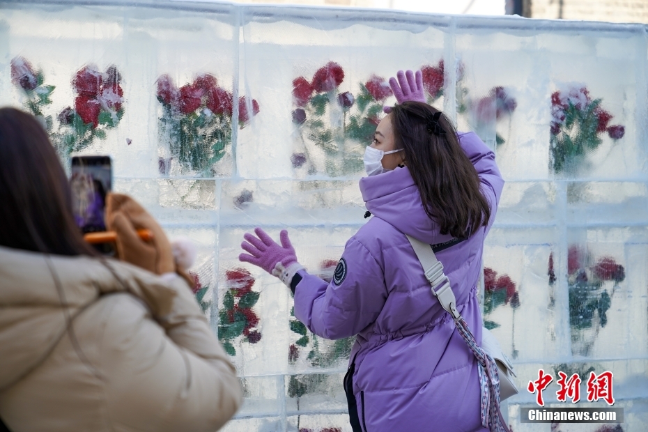 Galeria: parede de rosas esculpidas no gelo atrai curiosos em Harbin