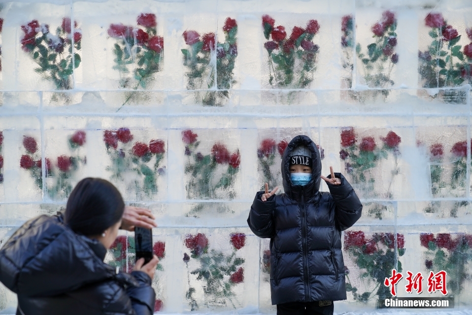 Galeria: parede de rosas esculpidas no gelo atrai curiosos em Harbin