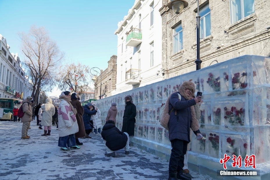 Galeria: parede de rosas esculpidas no gelo atrai curiosos em Harbin