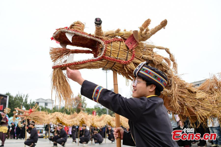 Dança do dragão de palha realizada para comemorar Festival da Primavera no sul da China