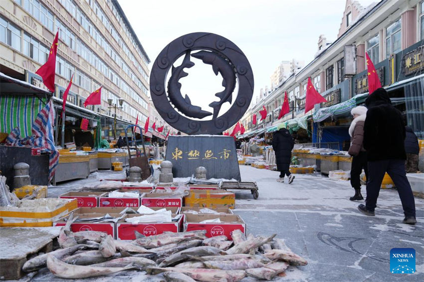 Mercado de peixe entra na temporada de pico de vendas em Fuyuan, noroeste da China
