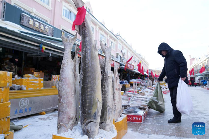 Mercado de peixe entra na temporada de pico de vendas em Fuyuan, noroeste da China