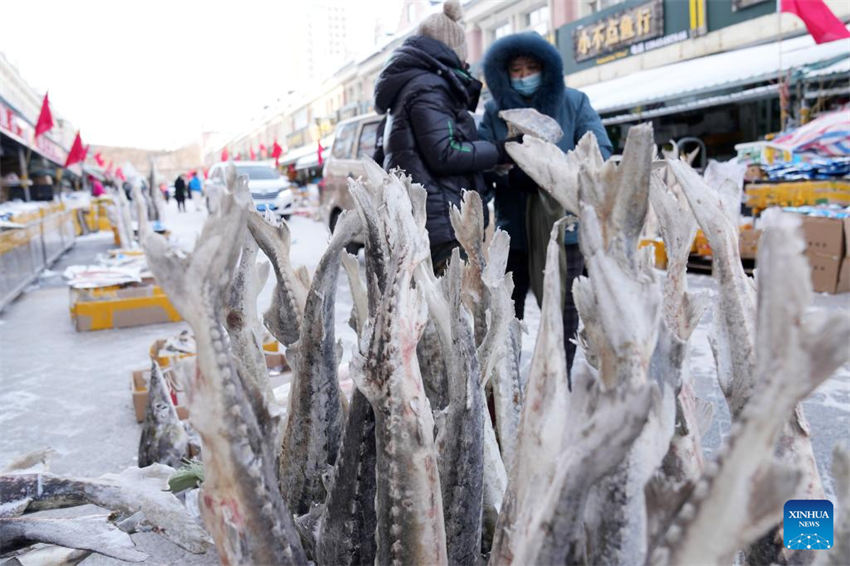 Mercado de peixe entra na temporada de pico de vendas em Fuyuan, noroeste da China