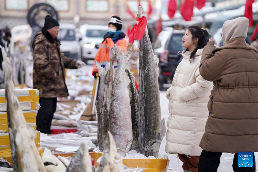 Mercado de peixe entra na temporada de pico de vendas em Fuyuan, noroeste da China