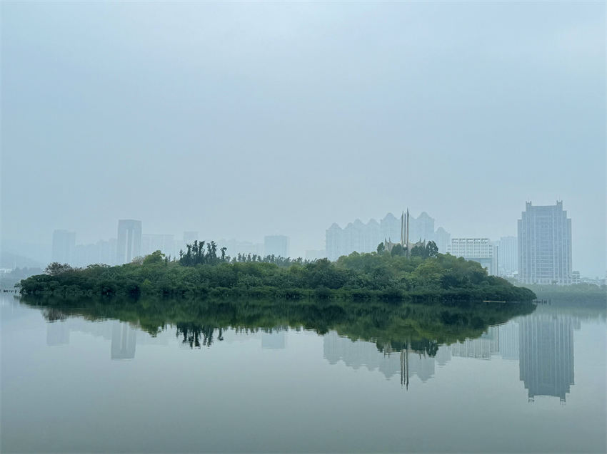 Galeria: lago Yundang imerso no nevoeiro