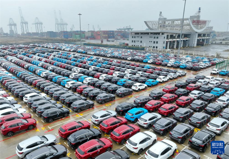 Galeria: província de Fujian torna-se importante canal de exportação de veículos ro-ro
