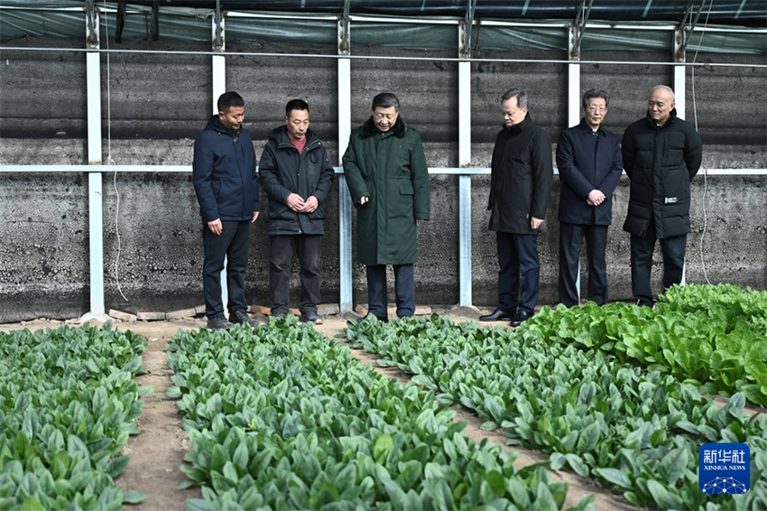 Xi Jinping envia cumprimentos da Festa da Primavera a todos os chineses