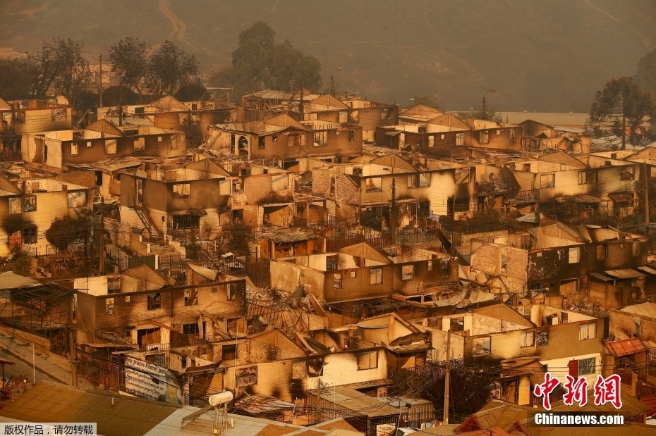 Incêndios florestais deixam 46 mortos e rasto de destruição em região turística do Chile