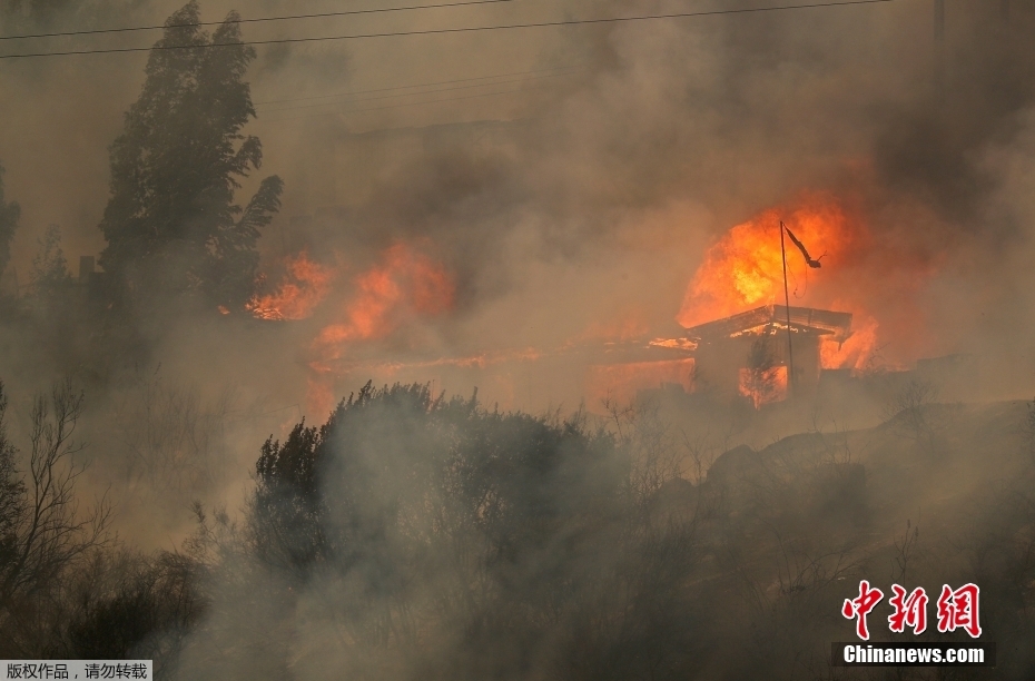 Incêndios florestais deixam 46 mortos e rasto de destruição em região turística do Chile