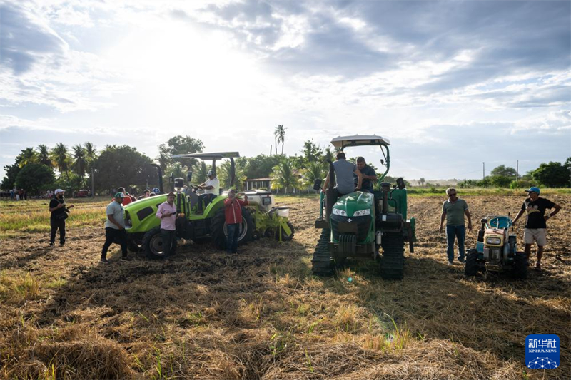 Agricultura mecanizada chinesa auxilia agricultura familiar no Brasil