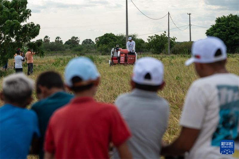 Agricultura mecanizada chinesa auxilia agricultura familiar no Brasil